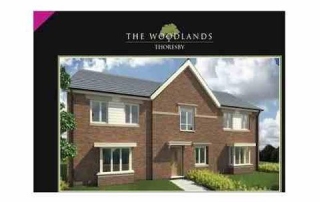 Spion Kop Plastering